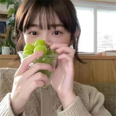 海燕双飞