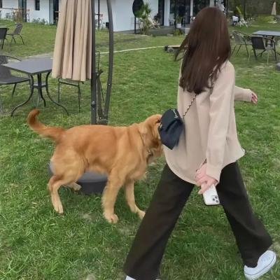刀客家族的女人